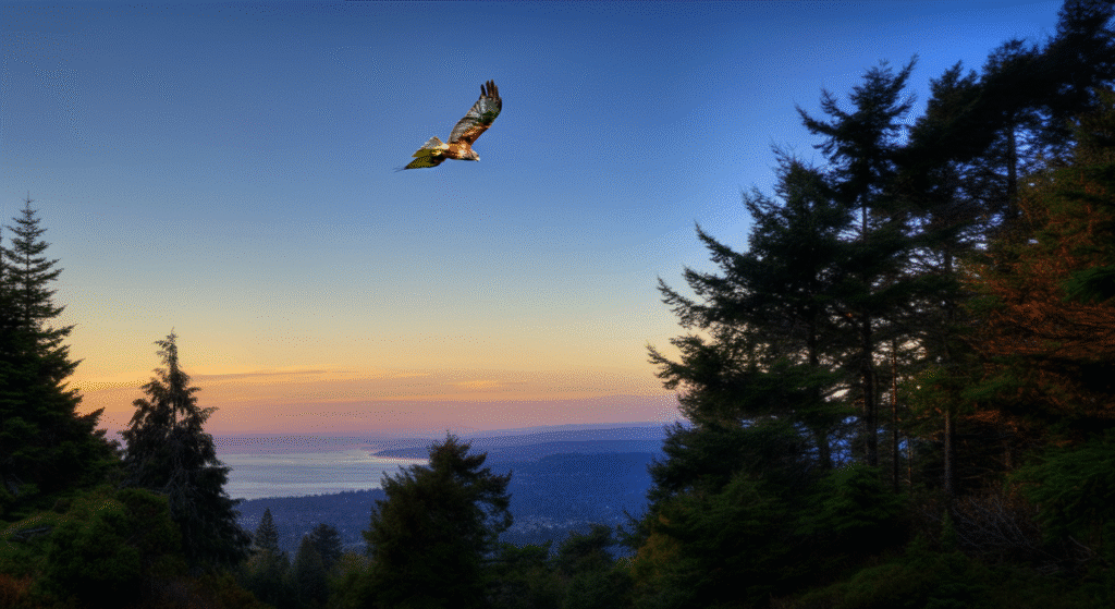 Photograph of a majestic bird soaring over a vast forest and distant ocean at sunset, evoking freedom, nature, and expansive beauty.