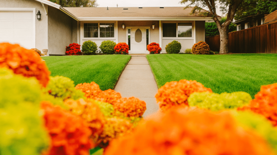 The image features a beautifully landscaped yard in front of a ranch style house, showcasing vibrant hydrangeas that contrast with the home's plain exterior walls. A well-defined walkway leads to the front door, enhancing the curb appeal and inviting warmth to the single-story structure.